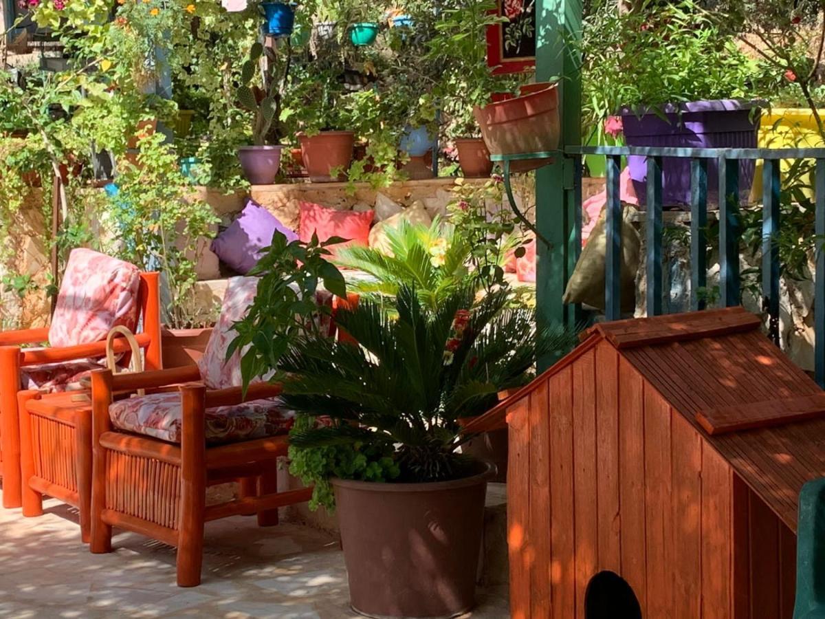 بيت الطبيعة Nature House Джераш Екстериор снимка