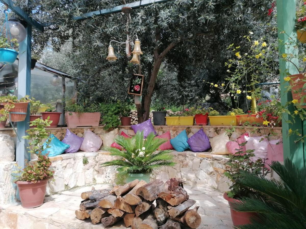 بيت الطبيعة Nature House Джераш Екстериор снимка