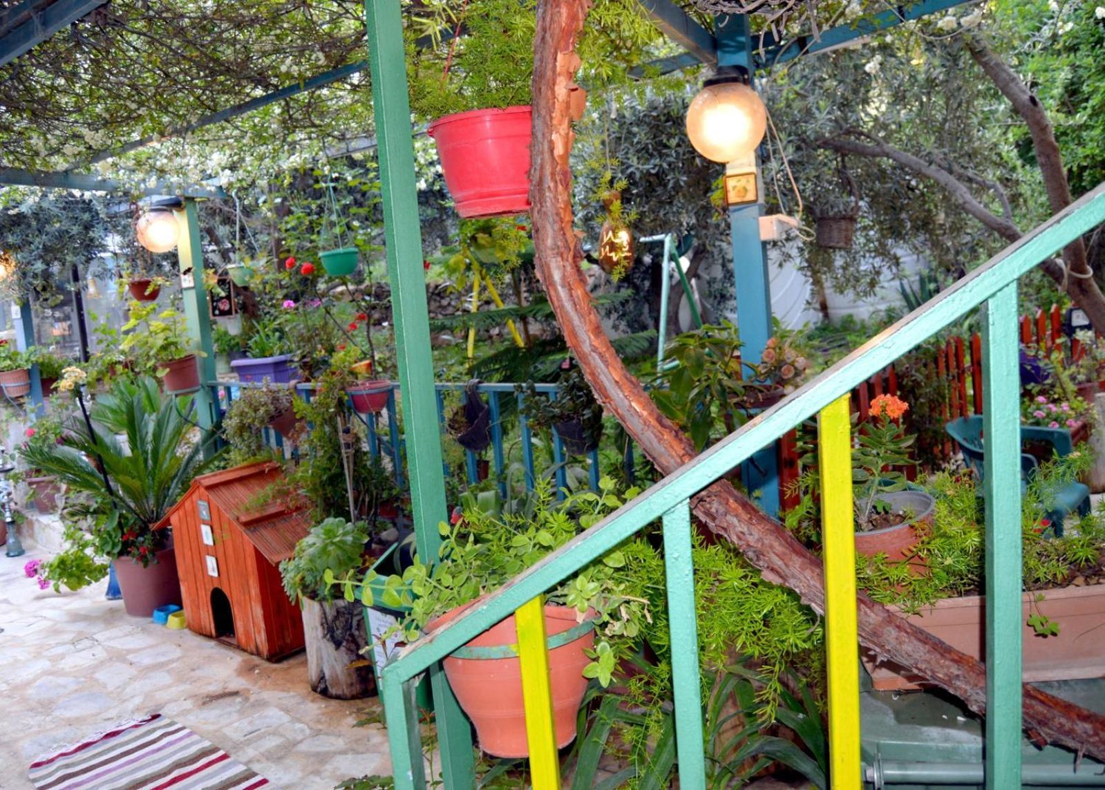 بيت الطبيعة Nature House Джераш Стая снимка