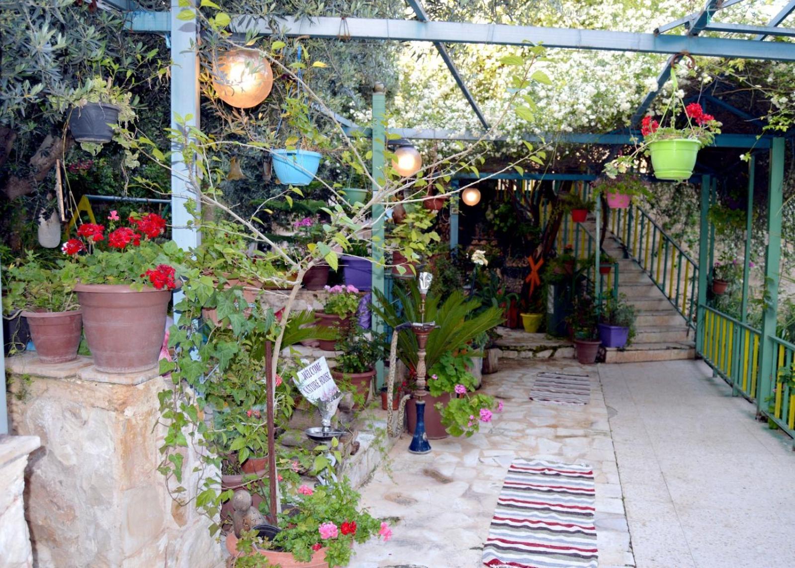 بيت الطبيعة Nature House Джераш Стая снимка